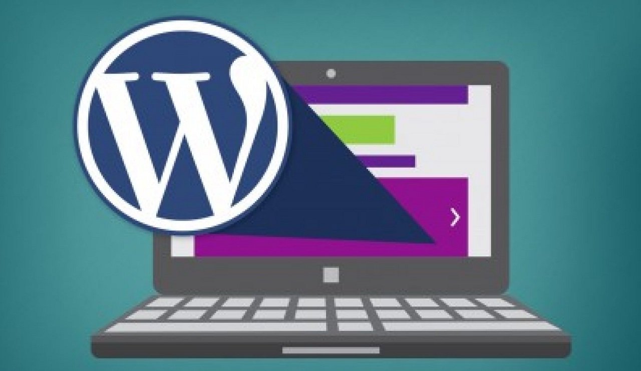 Rankie- Best Wordpress Tool For SEO